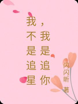 我是追你什么意思