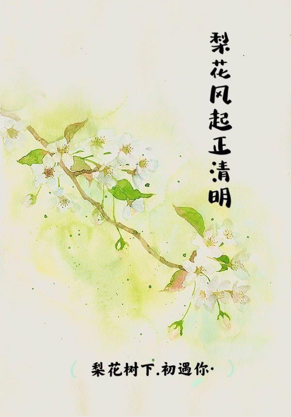 梨花风起正清明什么意思