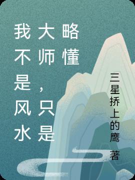 我是风水师吧