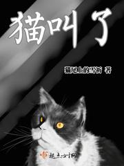 猫叫了代表什么预兆呢