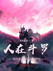 我的武魂可以无限模拟作者君如剑仙