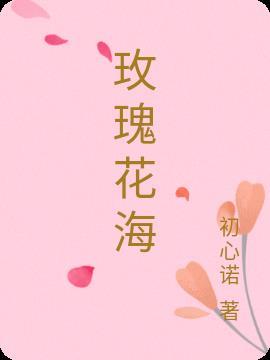 玫瑰花海龟汤