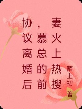 首席前妻慕少我们离婚吧免费