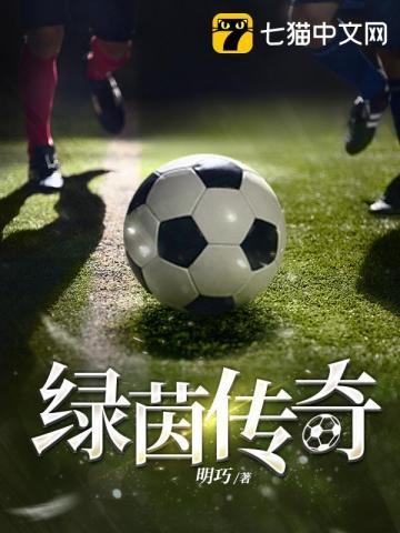 fifa online4绿茵传奇