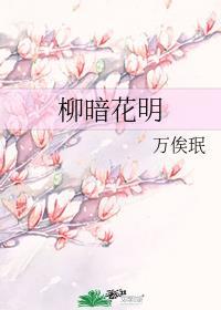 柳暗花明打一准确生肖