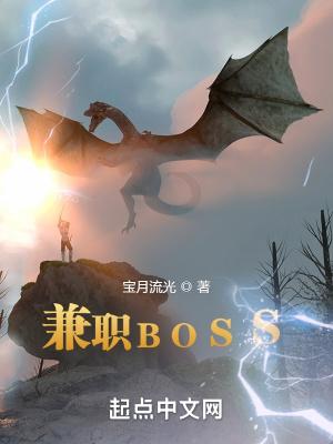 兼职boss类似