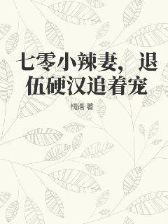 退伍硬汉追着宠类别重生