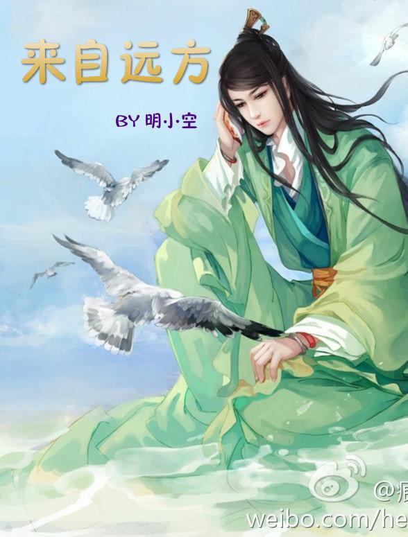 来自远方作品合集