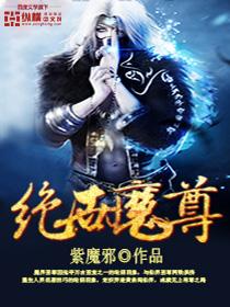 绝世魔尊叶空全集