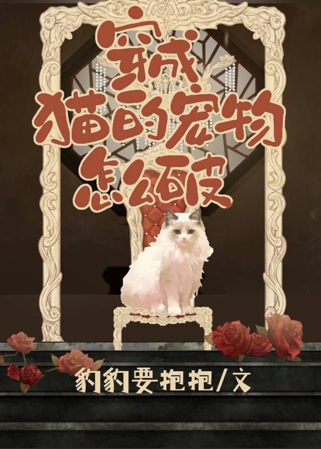 宠物变成人一猫一狗