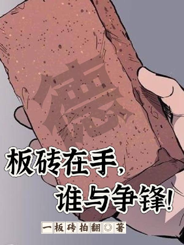 板砖人是什么意思