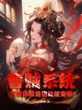 曹贼无弹窗