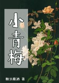 小青梅晋江