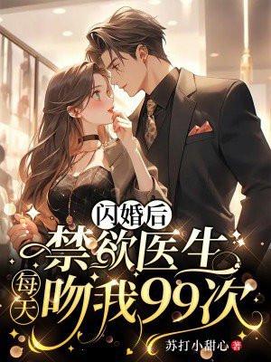 闪婚甜文医生文