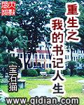 官场十大巅峰作品重生之我的书记人生