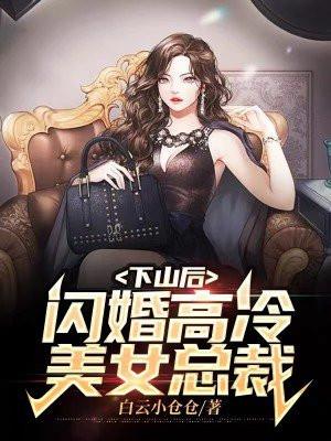 闪婚高冷美女总裁TXT