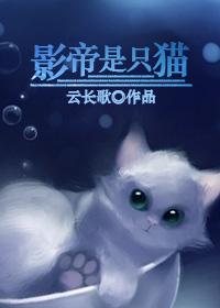 影帝是只猫攻受是谁