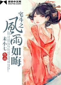 宅斗之风雨如晦TXT