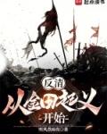 反清从金田起义开始无错版