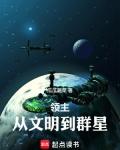 领主从文明到群星的