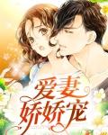 无嗣男子娇娇宠