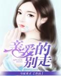 亲爱的别走散歌曲歌词完整版