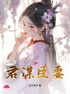 君谋臣妻之再嫁为后