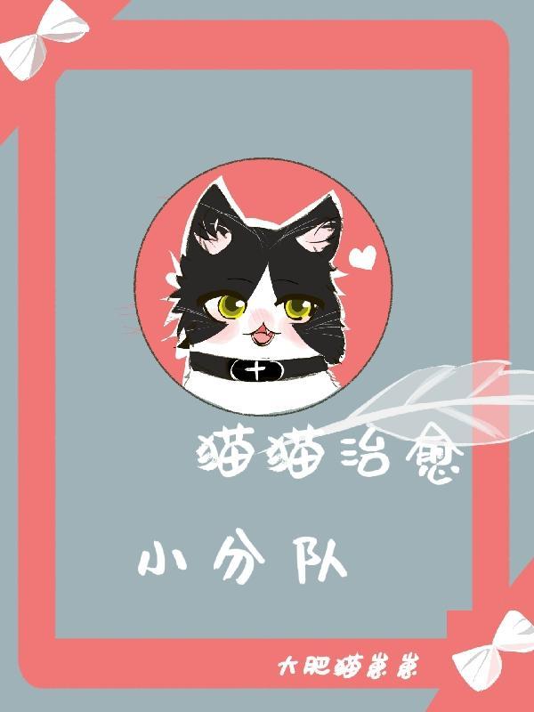 治愈猫咪视频