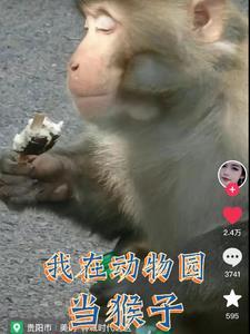 我变成猴子的时候长什么样