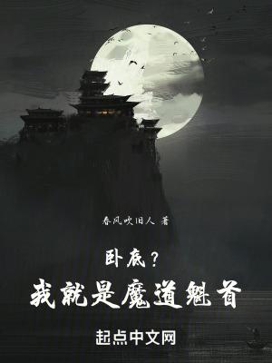 我是卧底魔法师怎么描述