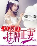 绑婚腹黑夫君挂牌正妻