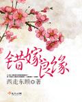 错嫁良缘之一代军师番外