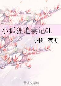 小狐狸追妻记百度