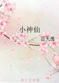 小神仙打三个数字