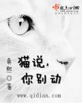 猫咪别淘气 你个坏东西