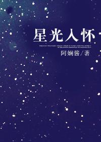 星光入怀全文阅读