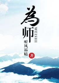 为师老西