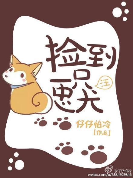 捡到一只忠犬后