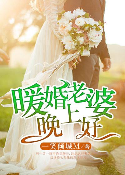 暖婚老婆晚上好全文