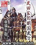 武田家的明国武士百科