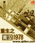 重生之青涩1978